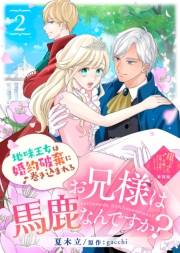 【単話版】お兄様は馬鹿なんですか？〜地味王女は婚約破棄に巻き込まれる〜（２）崖っぷち令嬢ですが、意地と策略で幸せになります！シリーズ