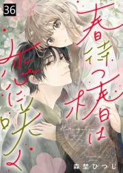 春待つ椿は恋に咲く（36）