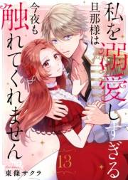私を溺愛しすぎる旦那様は今夜も触れてくれません（13）