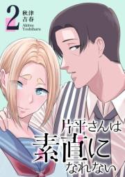 【期間限定価格】片平さんは素直になれない（２）