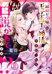 『縁結び令嬢』がモテ王子の婚活を手伝ったら、なぜか口説かれているのですが!?３