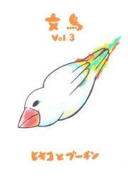 文鳥Vol.3