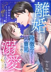 離婚したはずなのに、冷徹エリート御曹司に容赦なく溺愛されています１