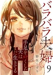 バラバラ夫婦〜手足をなくした夫はまだ生きてる９