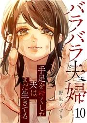 バラバラ夫婦〜手足をなくした夫はまだ生きてる１０