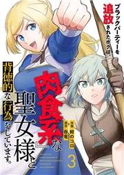 【期間限定　無料お試し版　閲覧期限2025年5月23日】ブラックパーティーを追放されたボクは、『肉食系』な聖女様と背徳的な行為をしています。３