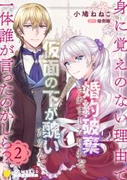 【期間限定価格】身に覚えのない理由で婚約破棄されましたけれど、仮面の下が醜いだなんて、一体誰が言ったのかしら？【限定書きおろし小説付きコミックス版】（2）