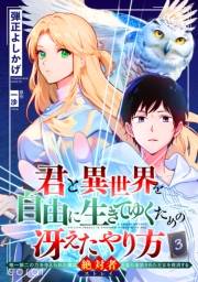 君と異世界を自由に生きてゆくための冴えたやり方〜唯一無二の力を与えられた僕は絶対者となり追放された王女を救済する〜（単話版3）